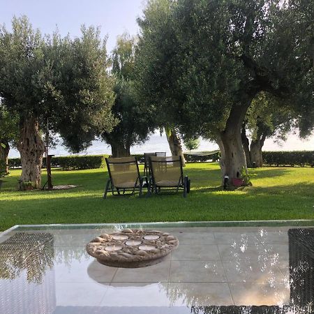 Villa Anemi ネア・スキオニ エクステリア 写真