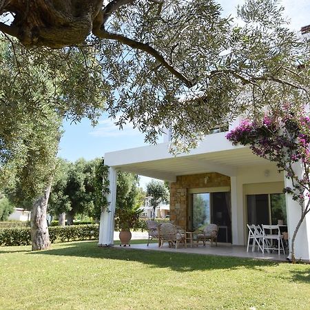 Villa Anemi ネア・スキオニ エクステリア 写真